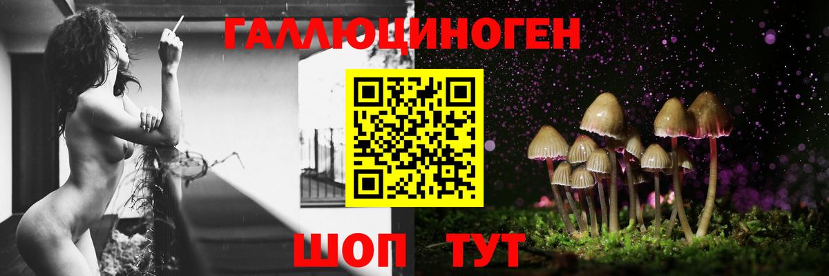 Псилоцибиновые грибы Psilocybine cubensis Гай